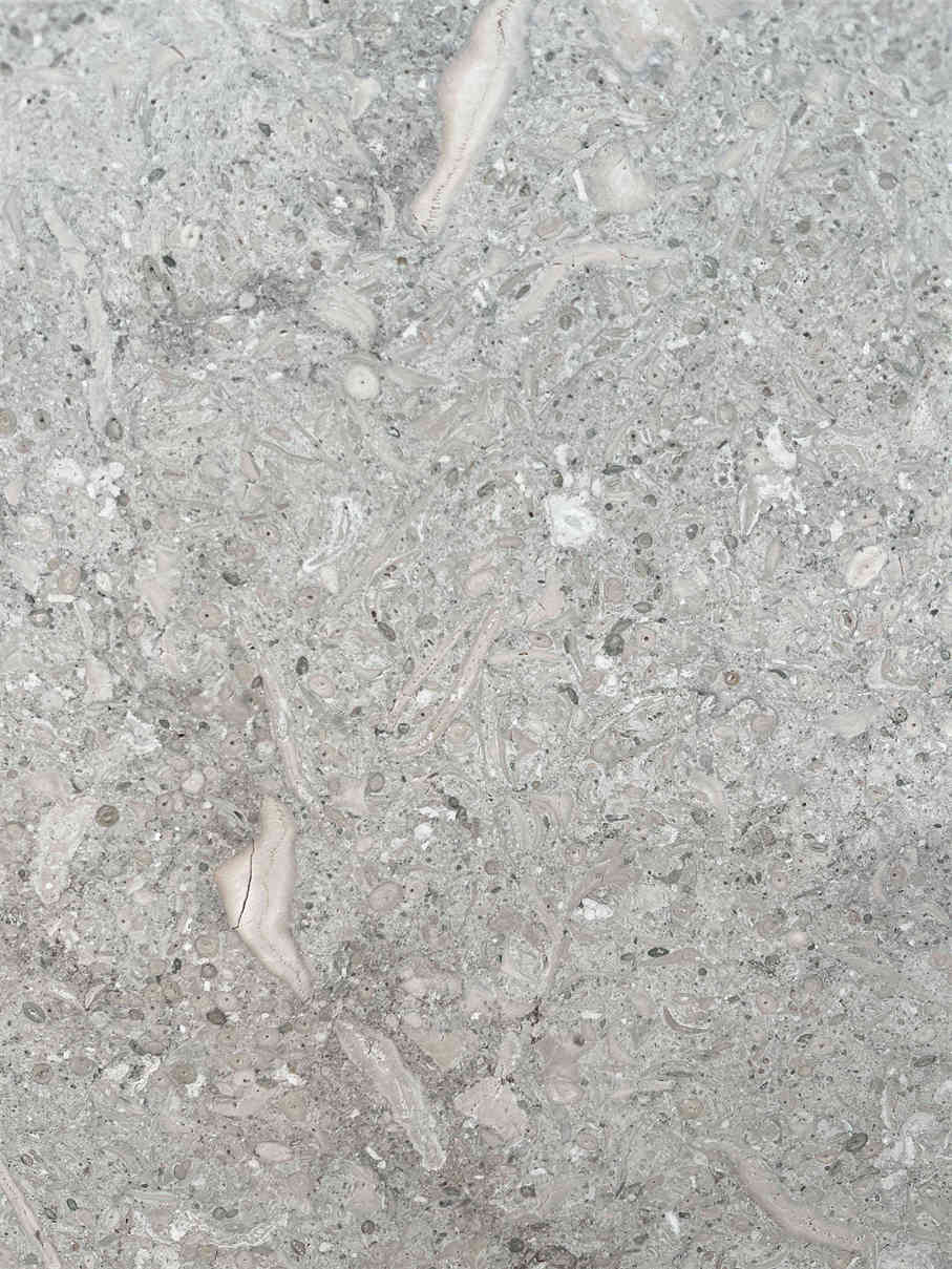 Grigio Vicenza Limestone