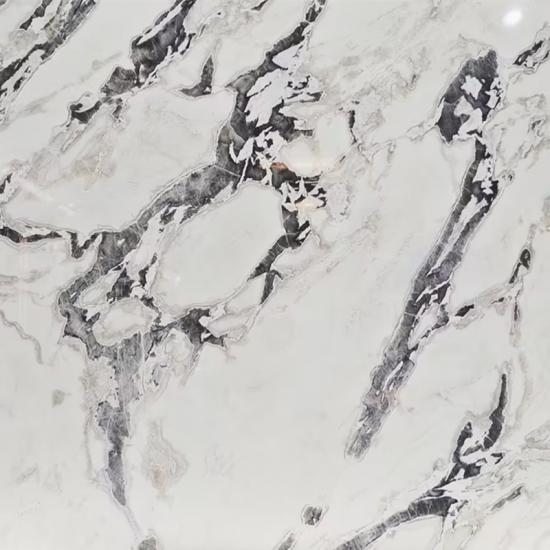 namibia exclusive dover white polished marble slab